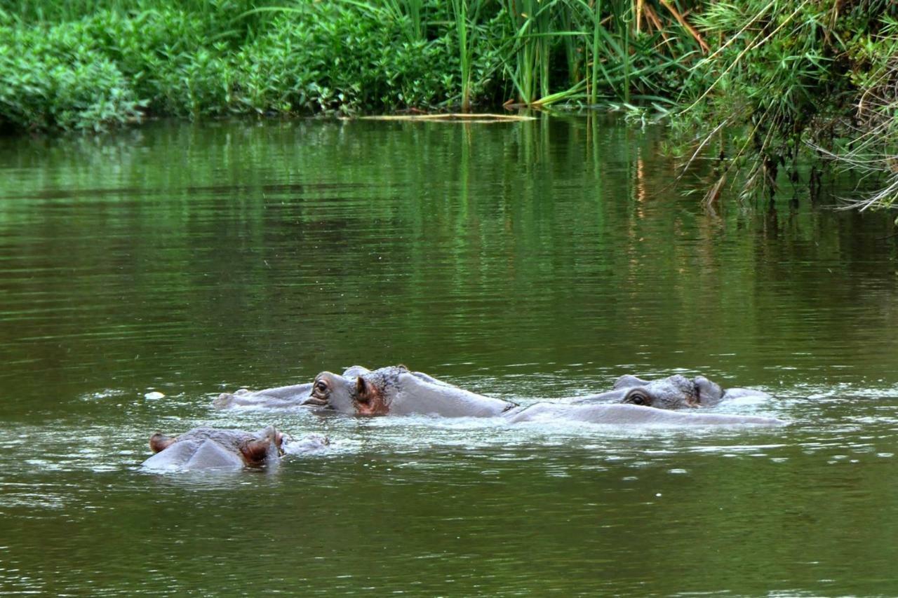 Kruger Park Lodge Unit No. 612 Hazyview Bagian luar foto